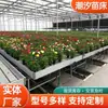 Instalaciones Hortícolas Cama de Plántulas de Marea Maceta Cama de Cultivo de Plántulas de Marea Invernadero Cama de Plántulas de Siembra de Marea Panel ABS