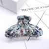 Celebridad de Internet Nueva Corea del Sur elegante elegante estilo francés horquilla para el cabello con cabeza trasera pinza de tiburón agarre acrílico grande estilo TikTok