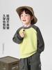 Sudadera de Bloques de Color para Niños Ropa de Otoño 2026 Nuevo Estilo Primavera y Otoño Ropa Infantil Tops para Niños Pequeños Modernos