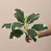 Hojas artificiales de Monstera y Alocasia para paisajismo de jardines, arreglos de plantas verdes para hoteles, centros comerciales y decoración del hogar, plantas en maceta