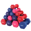 Halteres Femininos Revestidos de Plástico para Fitness, Exercícios de Braço, Halteres Hexagonais para Yoga (que não rolam), Tamanho Pequeno para Estudantes e Crianças, Halteres Femininos
