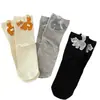 *Gato Dandan* Versión Coreana Nuevo Gatito Lindo Original Bola Tridimensional de Algodón Calcetines para Mujer Sin Costuras Cómodos Calcetines de Media Pantorrilla