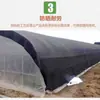 Malla de sombreado de tejido liso, malla de sombreado para invernadero agrícola de hortalizas, malla de sombreado para cultivo de pepino de mar, red de protección solar para coches y patios