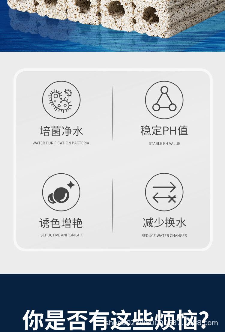 细菌屋_02.jpg