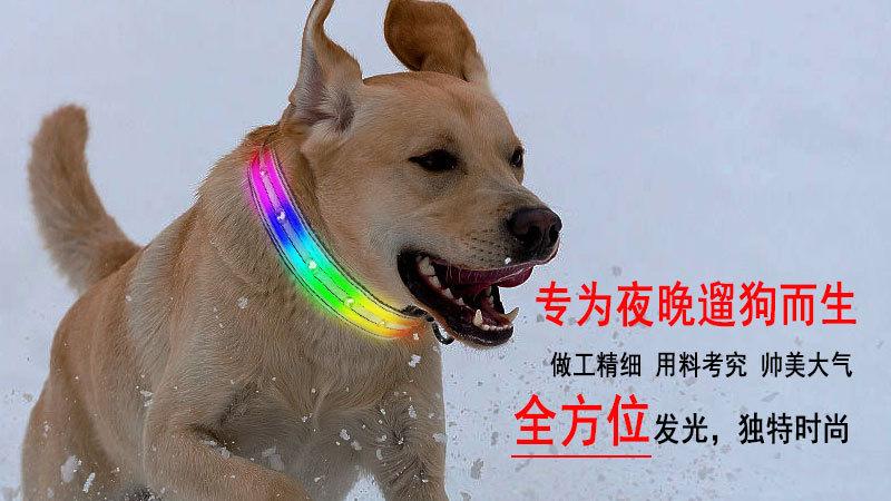 双光纤鸡眼项圈详情_01.jpg