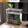 Tarro de tortuga para sala de estar con mesa de sol tarro de tortuga tortuga anfibia brasileña tarro de escritorio pequeño de escritorio tarro de tortuga transparente