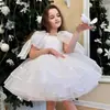 Aliexpress Vestido de Princesa para Niña de las Flores Vestido de Princesa para Bebé Vestido Blanco de Malla para Niñas Falda Abullonada Elegante