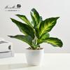 Flor falsa pastoral simulación verde bonsái decoración de interiores fabricantes suministran directamente flores artificiales una generación de plantas en maceta de simulación