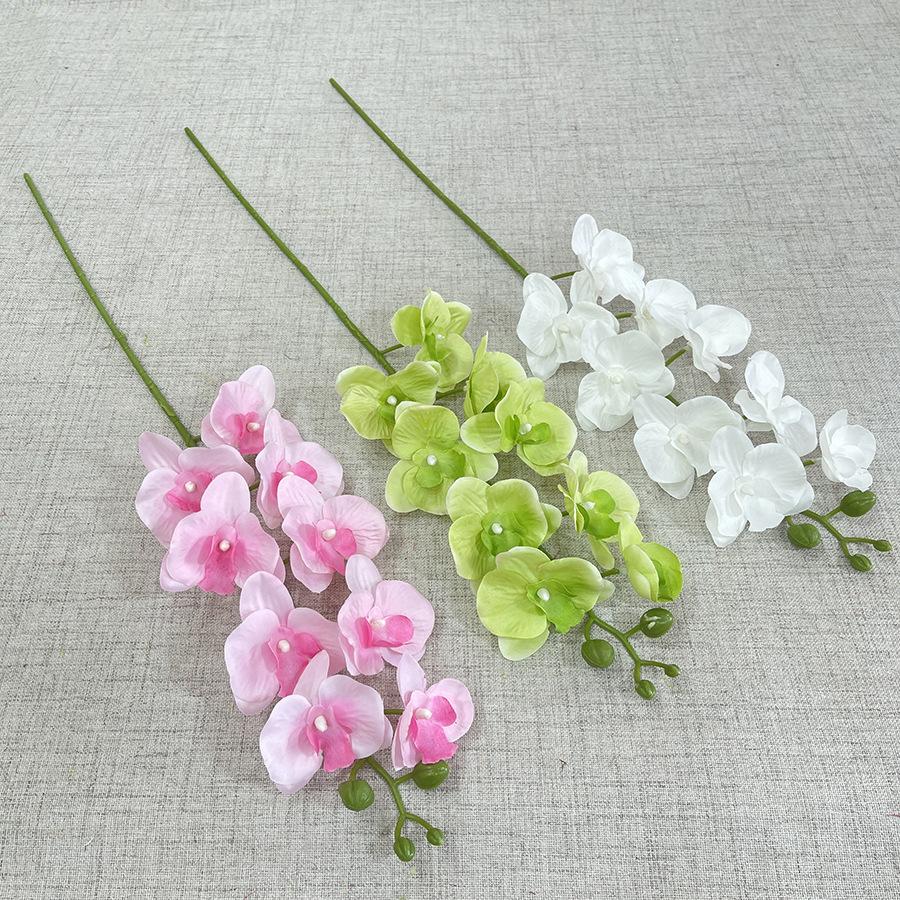 主图 花溪谷 9头平价蝴蝶兰-sxlwdx-.JPG