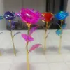 Presente de Dia dos Namorados Cor Dourada 24k Rosa Atividade de Empurrar Pequeno Presente Atacado Flor de Simulação Presente de Dia das Mães