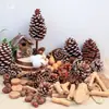 Flores Secas Piñas Decoración Hecha a Mano para Jardín de Infancia Materiales Vegetales Naturales Estilo Bosque Accesorios para Fotografía Cáscaras de Frutas Ramas Pequeños Adornos