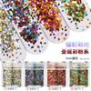 Nail art glitter lantejoulas glitter pó gradiente conjunto azul roxo 123mm misto esmalte joias material gota de cola