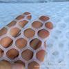 Red plana de plástico para cría directa de fábrica de Zhuhai, rejilla de plástico, red para trepar plantas, red para trepar maracuyá
