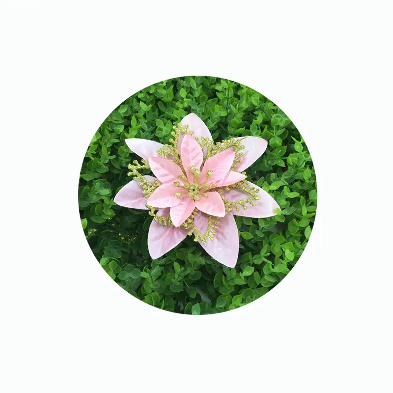 皇冠花粉2.JPG