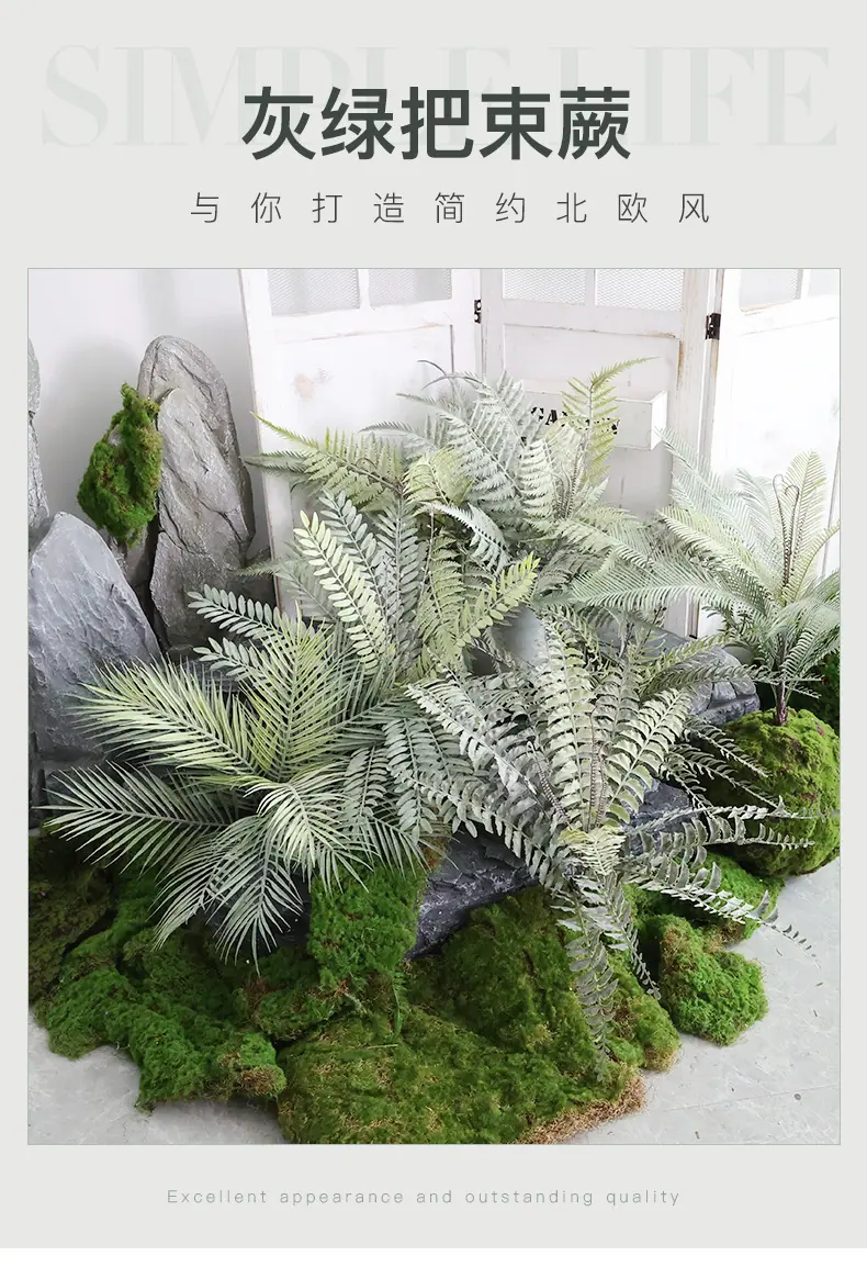 灰绿把束蕨_01.jpg