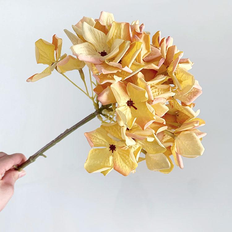 QQ图片20220713120936