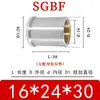 Bujes Guía Internos de Grafito para Moldes de Precisión Sghz/Bf/Fz Personalizados, Accesorios de Bujes Guía para Placas Expulsoras de Moldes de Hardware Personalización