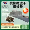 Secador de Nueces de Betel por Microondas Tipo Banda Transportadora Equipo de Deshidratación por Secado con Microondas Velocidad Ajustable