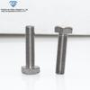 Parafusos de titânio puro TA2 e parafusos hexagonais externos resistência à corrosão de titânio