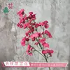 Flores artificiales de alta calidad, incluyendo arreglos florales simulados y nomeolvides, al por mayor para ventas transfronterizas, adecuadas para decoraciones de paredes de fondo de hotel y bodas