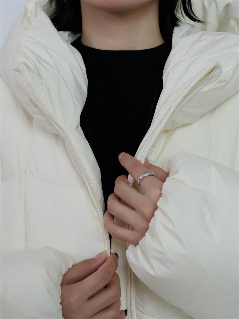 2024-11-19 173601.jpg