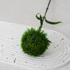 Pedra Verde Simulada Toque de Bambu, Decoração de Casa de Flor Simulada, Arranjo de Flores, Adereços de Fotografia, Flores Artificiais, Plantas Verdes Atacado