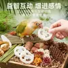 Juguete para loro para aliviar el aburrimiento y el autoentretenimiento, masticación natural y limado de pico, para periquitos australianos pequeños, periquitos, ninfas y agapornis