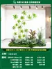 Paisagismo de Planta Artificial Varanda Arranjo de Paisagem Escada Interna Sob Árvore de Flores Artificiais Decoração Biomórfica Planta Verde Paisagismo Combinação