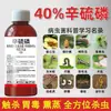 Pesticida Thiophos al 40% para Plagas del Suelo y Aéreas, Insecticida Común para Gallarinas, Gusanos Cogolleros e Insectos Barrenadores de Raíz