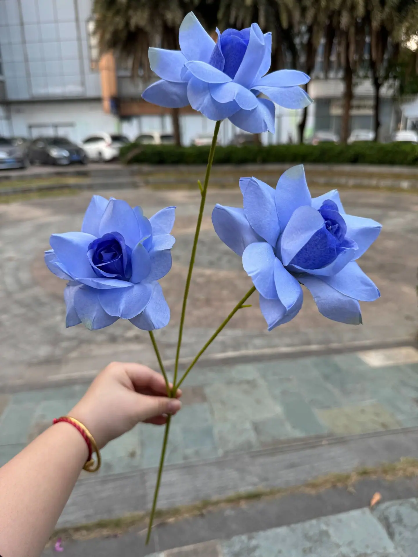 24 (5).jpg