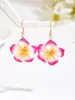 Brincos de Flores de Argila Macia Estilo Popular de Feriado Transfronteiriço Europeu e Americano Flores Coloridas Simuladas Brincos Elegantes de Alta Qualidade