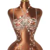 AYJ Cadena de pecho de grava de piedra de color natural estilo europeo y americano, cristal rosa, con cadena de plata, borlas de gota de agua de cristal, adecuada para ropa de vacaciones
