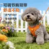 Correa para Perro, Arnés de Dibujos Animados, Arnés Estilo Chaleco para Perros Pequeños, Correa para Pasear al Perro, Correa para Mascotas, Reflectante