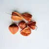 Flores Secas Navideñas, Canela, Limón, Piñas Mezcladas Juntas, Flores Secas Hechas a Mano, Kits de Materiales DIY para Aromaterapia, Accesorios, Venta al por Mayor de Fabricantes