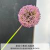 Nueva bola de cebolla para boda, simulación de flor, sala de estar, hogar, flor decorativa, diente de león individual, hortensia de plástico planetaria