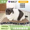 Placa de arranhar criativa para gatos, suprimentos para moer garras de gato, brinquedos de papel ondulado espesso e resistente ao desgaste, brinquedos de pelúcia para gatos, atacado