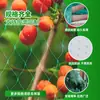 Malla Antipalomas en Stock para Huertos de Cerezas y Arándanos, Árboles Frutales, Estanques, Jardines, Balcones y Invernaderos