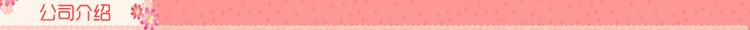 公司介绍