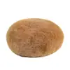 Boina de pelo de coelho longa de qualidade estilo japonês feminina outono e inverno estilo coreano moderno estilo japonês fofa quente veludo chapéu de pintor moda feminina