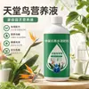 Solución nutritiva especial para plantas de ave del paraíso, diseñada para abordar problemas como hojas rizadas, amarillentas y agrietadas; fertilizante para macetas de interior para plantas ornamentales