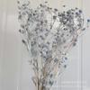 Fruta del amor eterno/flor de apio con espinas pequeñas, material de flores secas, bricolaje, decoración del hogar, ramo de flores