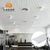 Paneles de Techo de Aluminio para Lugar de Trabajo, Techo de Tiras de Aluminio de Color Sólido, Materiales para Techos de Gimnasio
