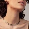 Colar de osso de cobra europeu e americano feminino gargantilha simples corrente curta plana corrente de clavícula estilo frio joias estilo estrela