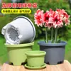 Vaso de flores de resina baixa espessada Bulbo respirável de plástico Tulipa Lírio Açafrão Vermelho Especial Grande Pote