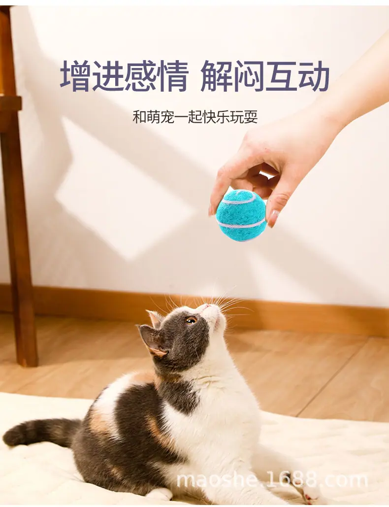 详情_06.jpg