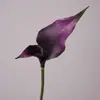Lírio-do-calla Sintético de Pétalas Duplas Coreano de Alta Qualidade Material Eva Feel Calla Artificial Casamento Casa Sala de Transmissão ao Vivo Decoração