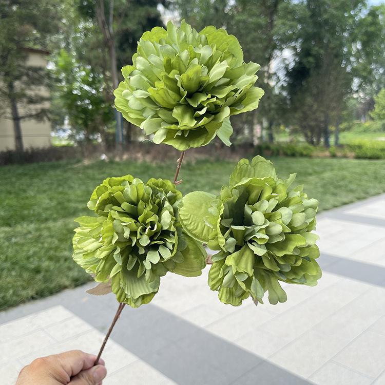 TeHui3大头涂层牡丹-sxzxx-绿色.JPG