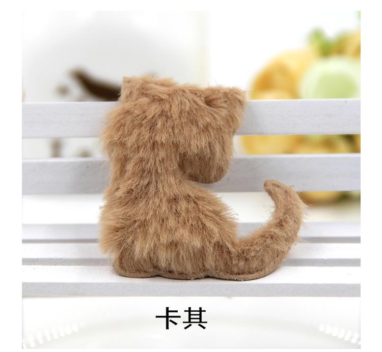 长绒毛猫_06.jpg