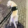 Ropa Táctica de Combate para Perros Chaleco de Entrenamiento Molle Chaleco Táctico Ropa para Perros Ropa Táctica para Perros Tienda de Fábrica