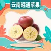 Maçãs Zhaotong Yunnan Dropshipping Frutas Vermelhas Zhaotong Embalagem de Caixa Inteira Sazonal Teor de Açúcar 10+ Pacote Familiar Frutas Frescas